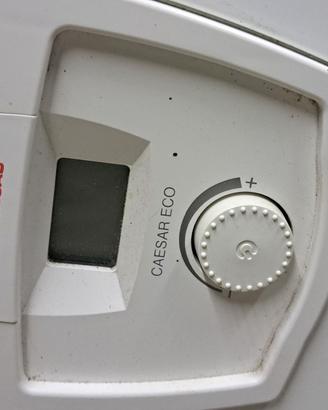 caldaia immergas mod CAESAR ECO