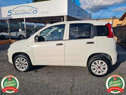 Fiat Panda 0.9 TwinAir*AUTOCARRO 2 POSTI*TAGLIANDI