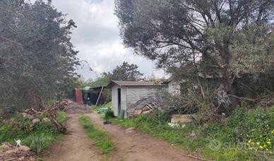 RGE 138/2021 Trib Tempio Pausania