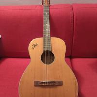 chitarra p12 eko