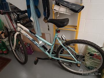 MTB bicicletta 