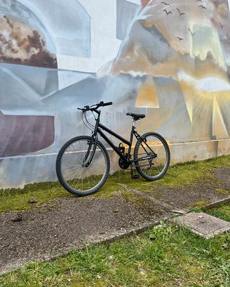 Bicicletta 26"