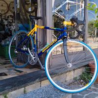 splendida bicicletta da corsa Bianchi Alloy 7000