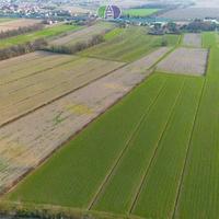 PIANIGA TERRENI AGRICOLI