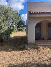 Abitazione con uliveto dolianova