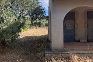 Abitazione con uliveto dolianova