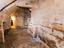 Immagine 25