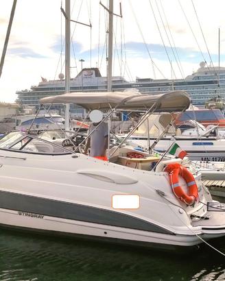 Barca stingray 250 cs