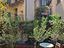 Immagine 19