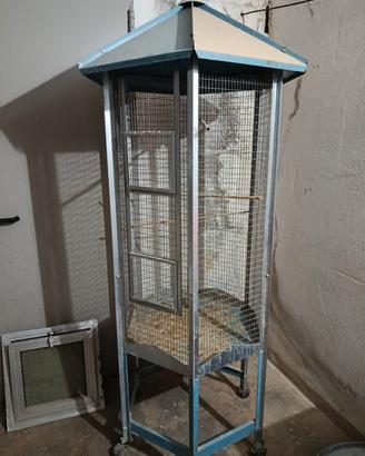 voliera per uccelli