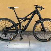 Specialized Enduro FSR Expert Carbon 29