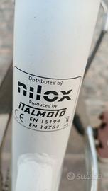 bicicletta elettrica chiudibile