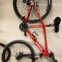 MTB Marca Lombardo Sestrier 300