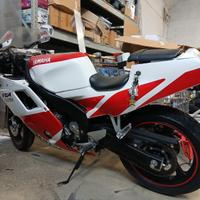 Yamaha FZR 250 R 3LN  anno 1995 Km 16000