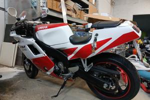 Yamaha FZR 250 R 3LN  anno 1995 Km 16000