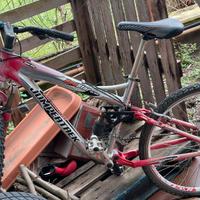 Bicicletta
