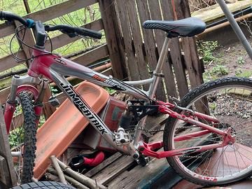 Bicicletta