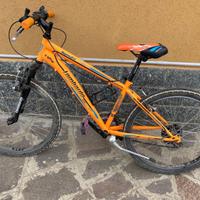 Bicicletta da ragazzo