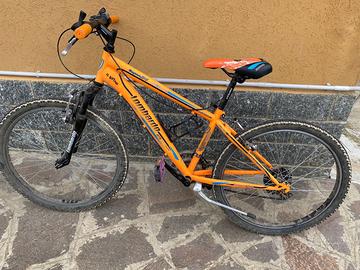 Bicicletta da ragazzo