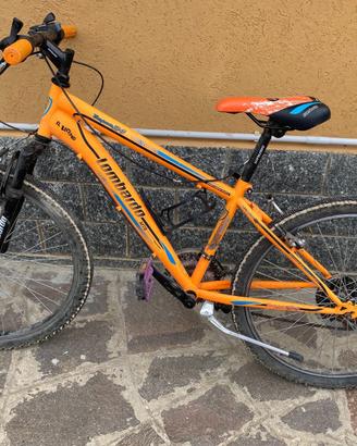 Bicicletta da ragazzo
