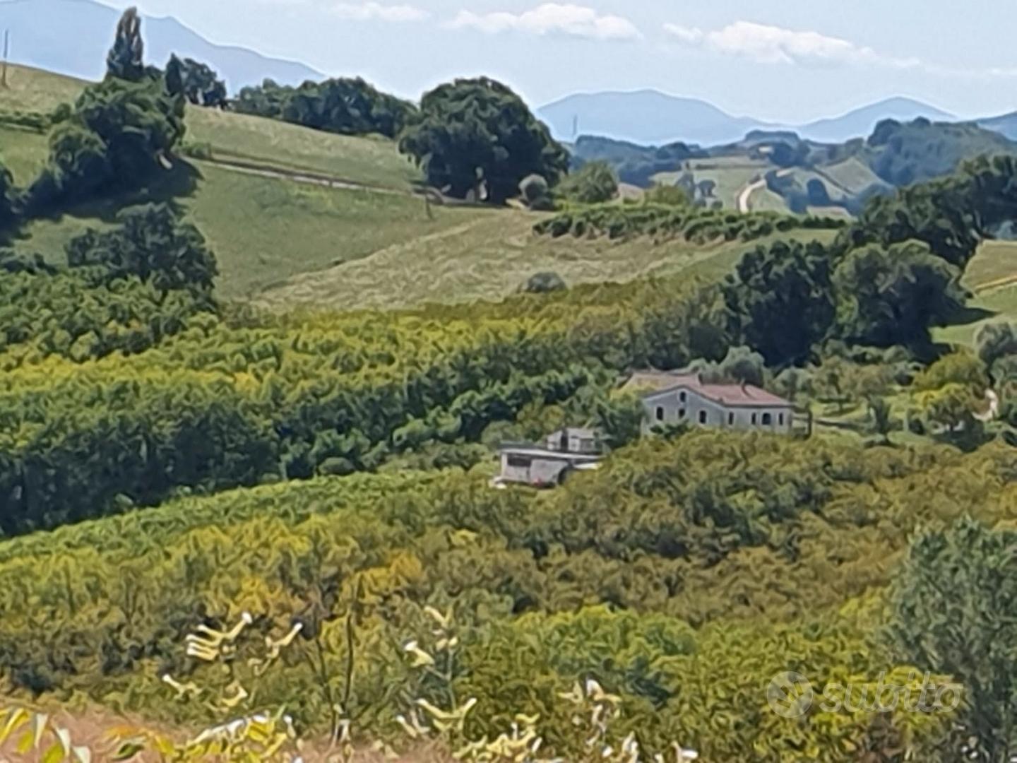 Fondo rustico con casale - Vista 2