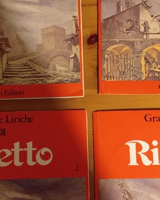 Opera lirica Rigoletto 33 giri