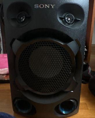 Cassa stereo amplificata