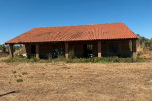Casale con Uliveto