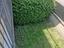Immagine 21