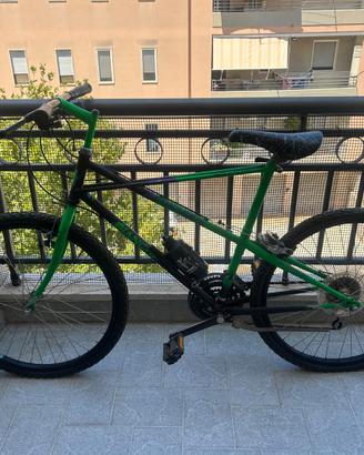 Bicicletta Mountain Bike - Bianchi Thomisus