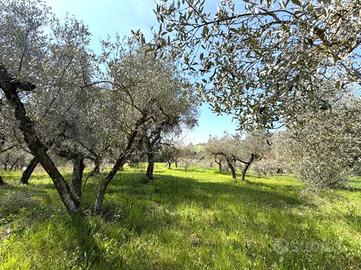 TER. AGRICOLO A CASPERIA