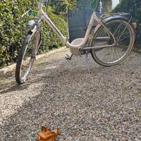 Mirella Leri bicicletta pieghevole