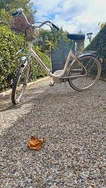 Mirella Leri bicicletta pieghevole