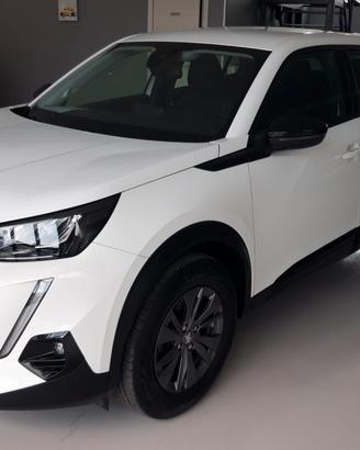 Peugeot 2008 1.5 bluehdi Active Pack s&s 110cv