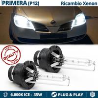 2 Lampadine XENON D2S 6000K Nissan Primera P12 P11