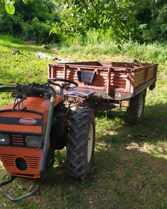 Moto agricola Goldoni AB6 C60 13KW + accessori