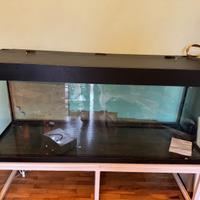 Acquario 450 litri con mobile e accessori costosi