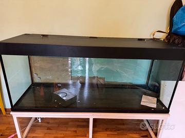 Acquario 450 litri con mobile e accessori costosi