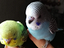 Immagine 1