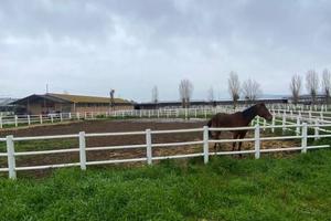 Rustico / Casale di 500 m² con più di 5 locali a A