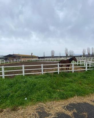 Rustico / Casale di 500 m² con più di 5 locali a A