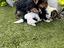 Immagine 6