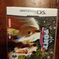 Gioco Nintendo DS 