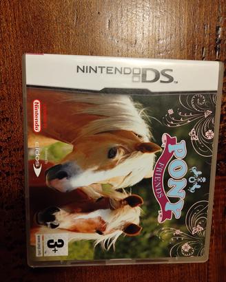 Gioco Nintendo DS 