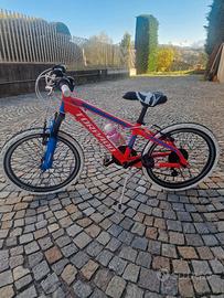 Bici Torpado Tigre Junior