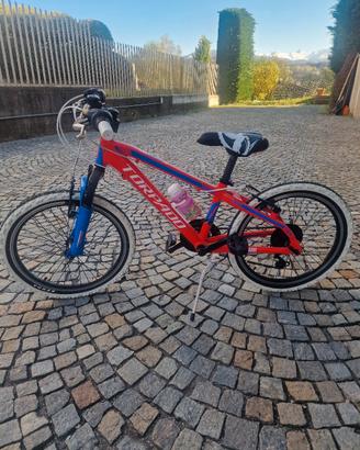 Bici Torpado Tigre Junior