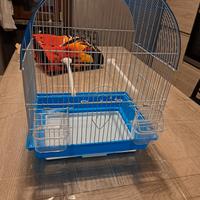 Gabbietta per uccelli con piedistallo