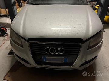 Musata completa Audi A3 8P 08/12