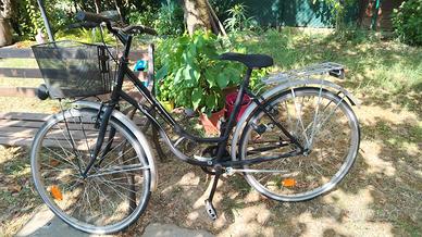 Bicicletta da donna  26