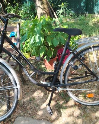 Bicicletta da donna  26